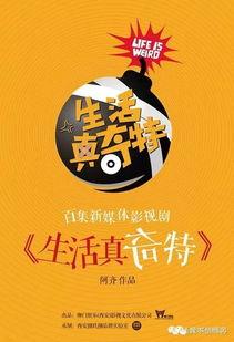 娱乐吃瓜酱万事俱备,万事俱备，揭秘娱乐圈幕后风云